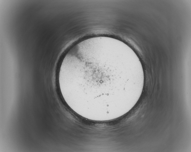 X0000111850391200908131443