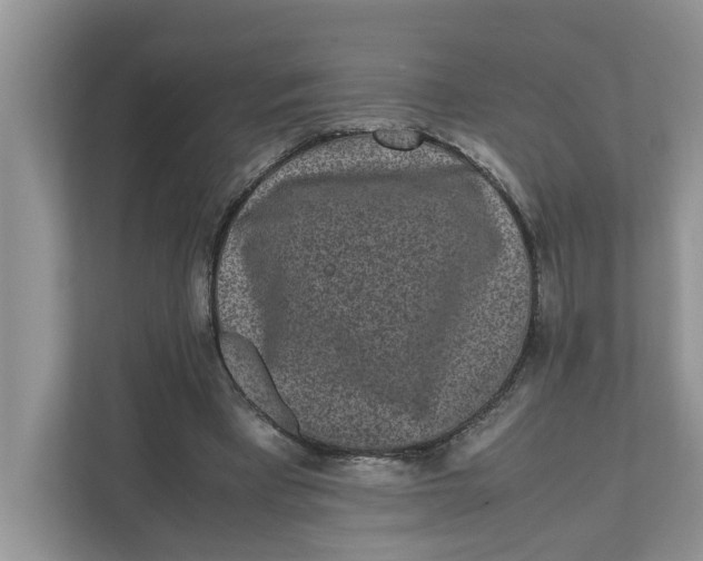 X0000111850393200908131443