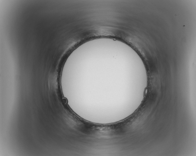 X0000111850395200908131443