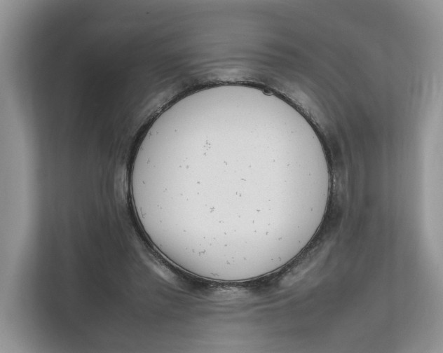 X0000111850397200908131443