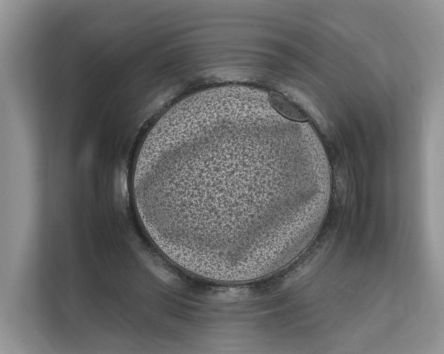 X0000111850398200908131443