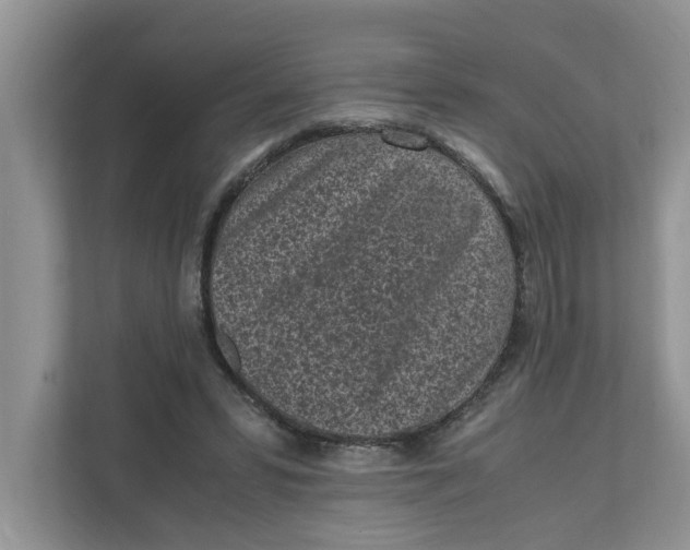 X0000111850399200908131443