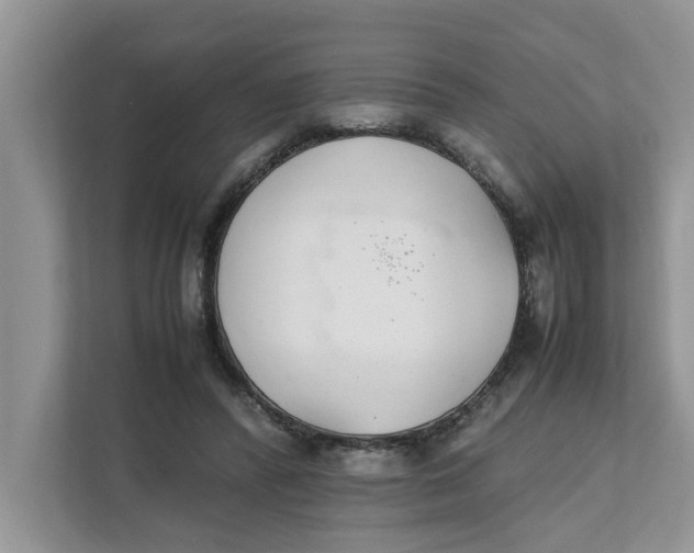 X0000111850400200908131443