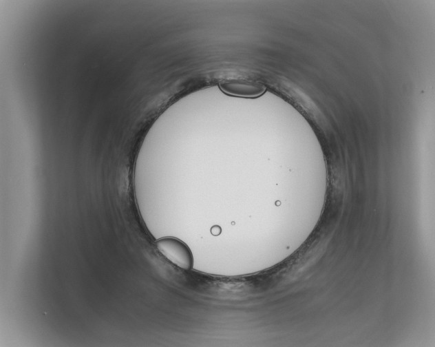 X0000111850401200908131443