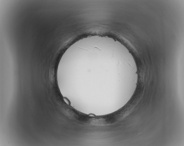 X0000111850403200908131443