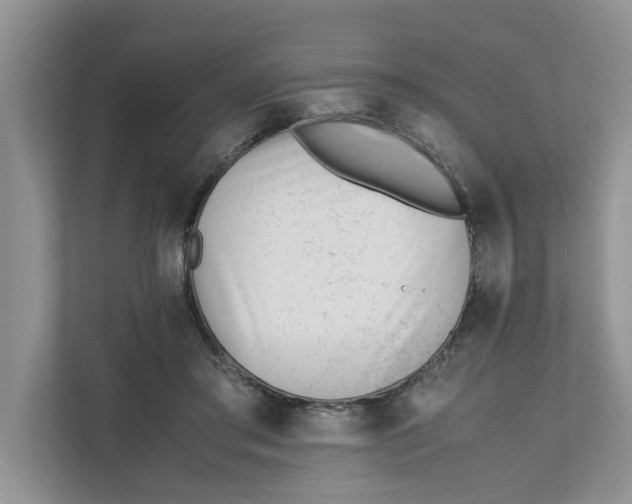 X0000111850405200908131443