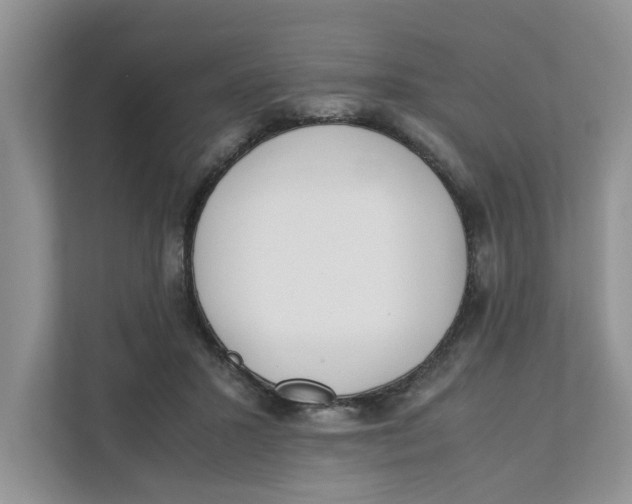 X0000111850407200908131443