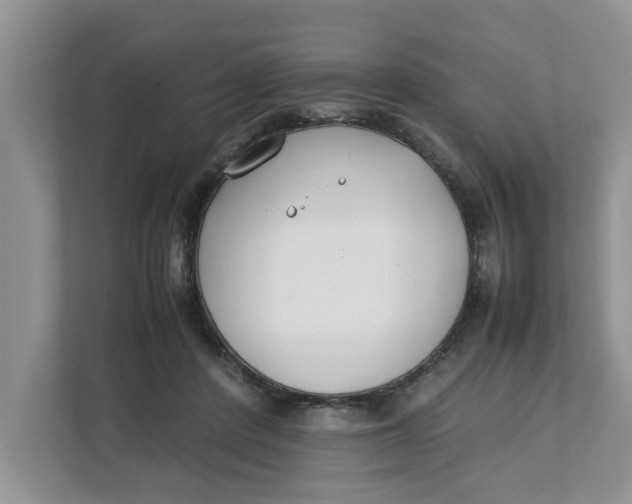 X0000111850408200908131443