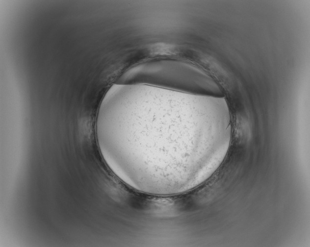 X0000111850409200908131443