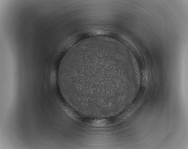 X0000111850410200908131443