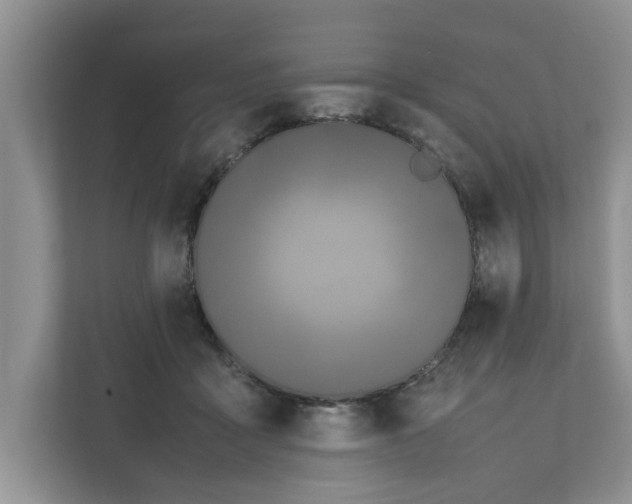 X0000111850411200908131443