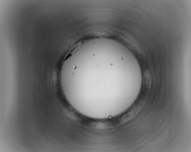 X0000111850412200908131443