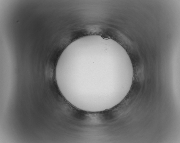 X0000111850417200908131443