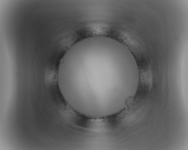 X0000111850419200908131443