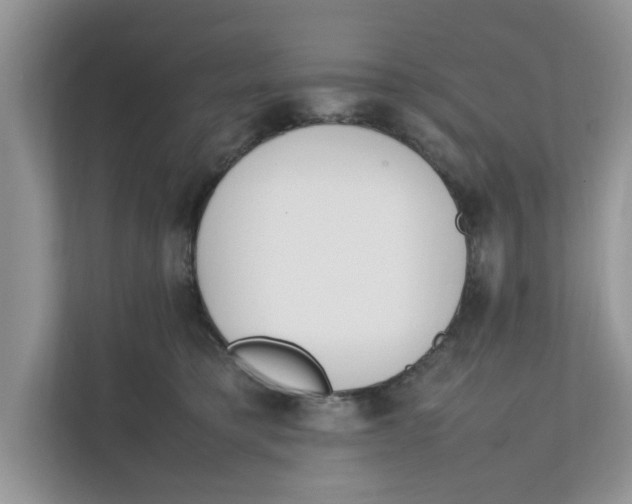 X0000111850421200908131443