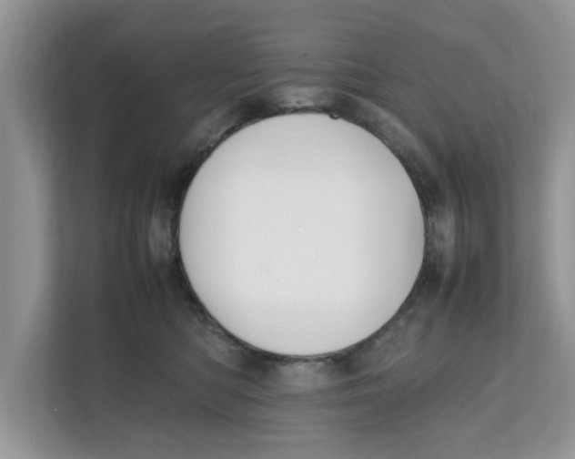 X0000111850422200908131443