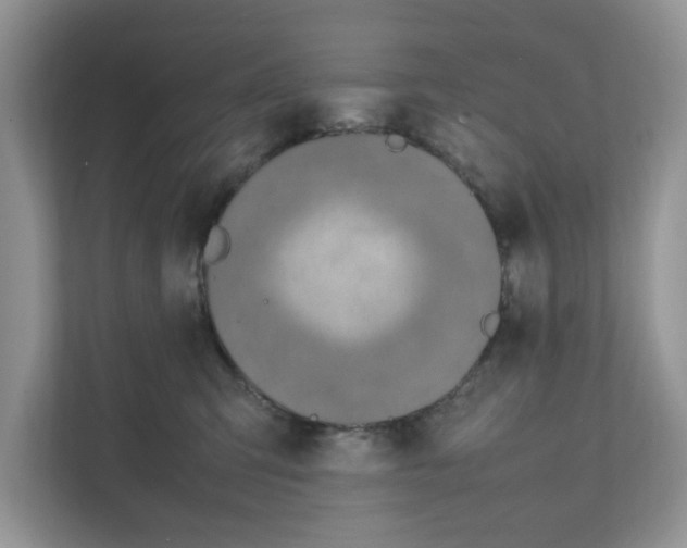 X0000111850423200908131443