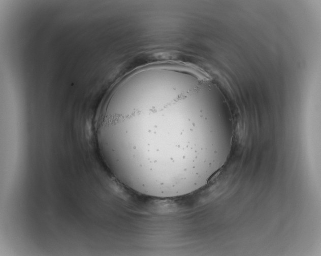 X0000111850424200908131443