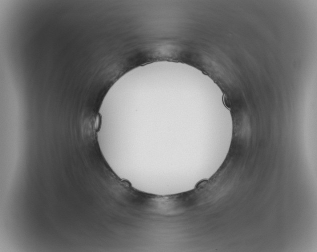 X0000111850425200908131443