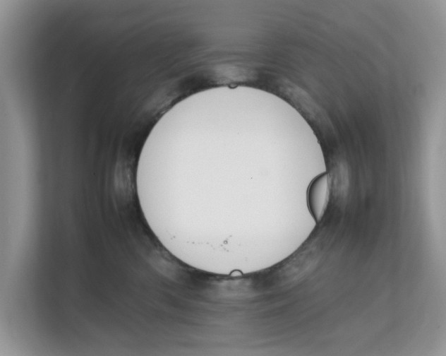 X0000111850426200908131443