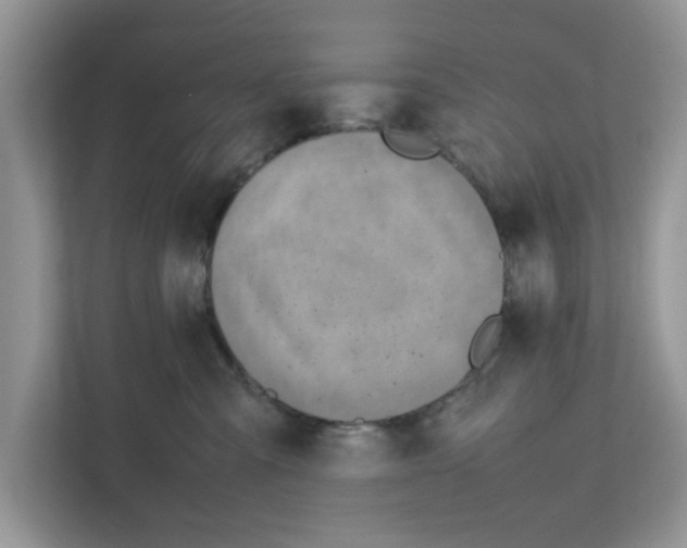 X0000111850427200908131443