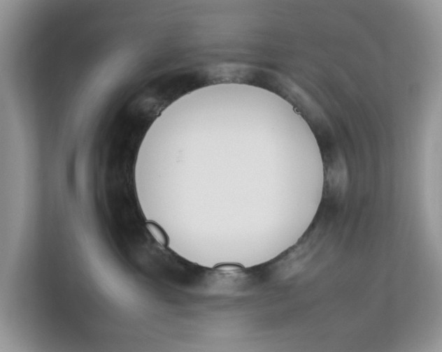 X0000111850429200908131443