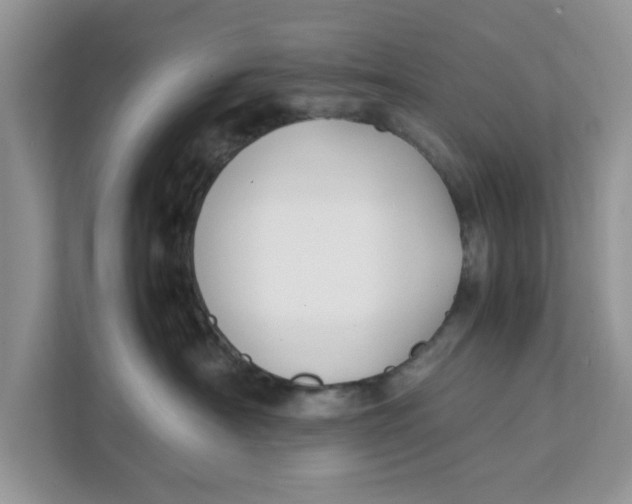 X0000111850430200908131443