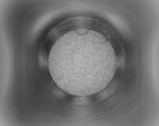 X0000111850431200908131443