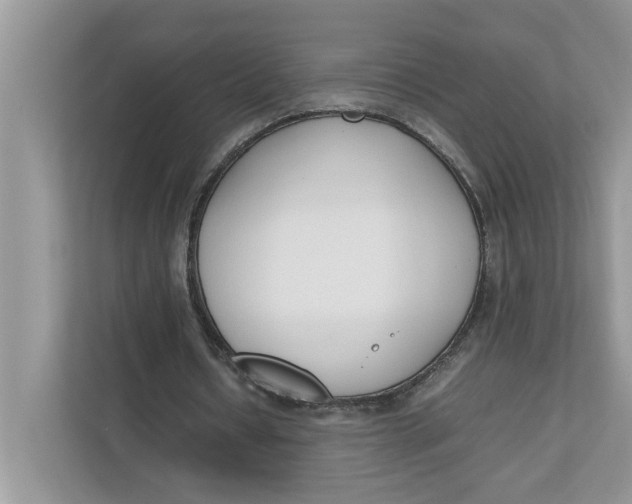 X0000111850434200908131442