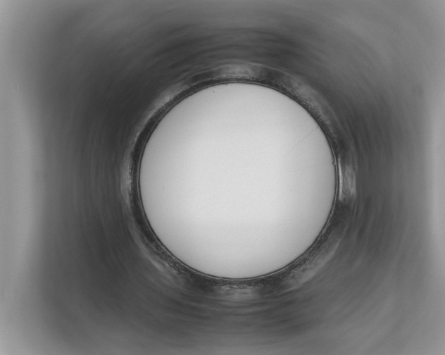 X0000111850435200908131442