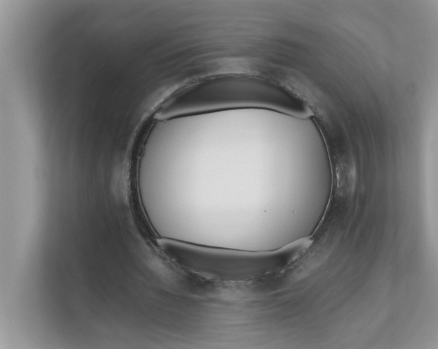 X0000111850436200908131442