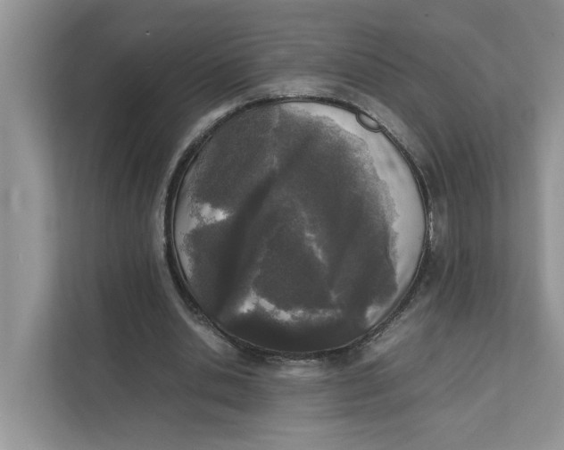 X0000111850438200908131442