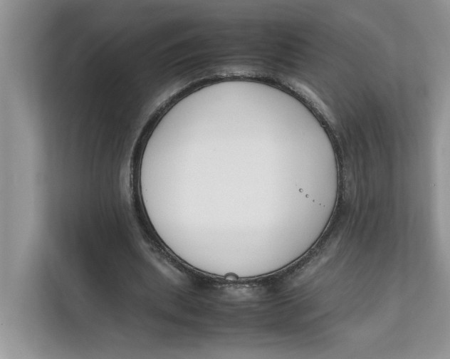 X0000111850439200908131442