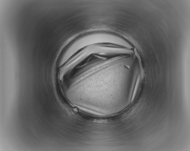 X0000111850440200908131442