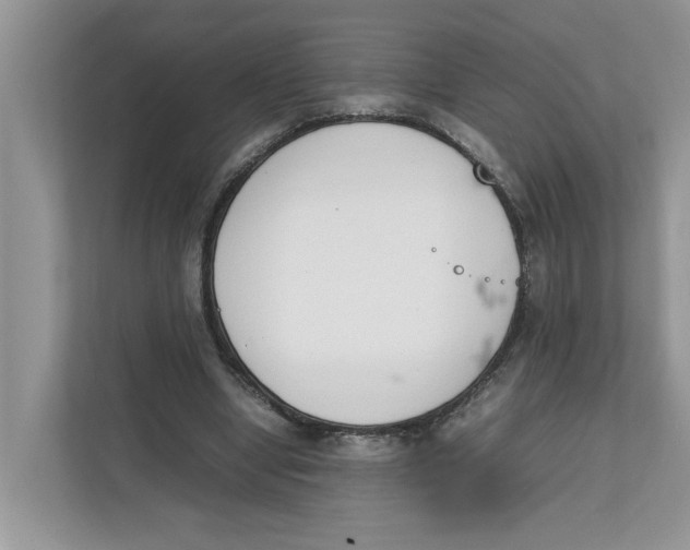 X0000111850442200908131442