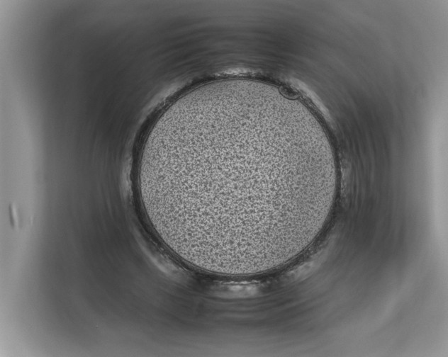 X0000111850443200908131442