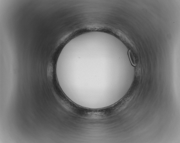 X0000111850448200908131442