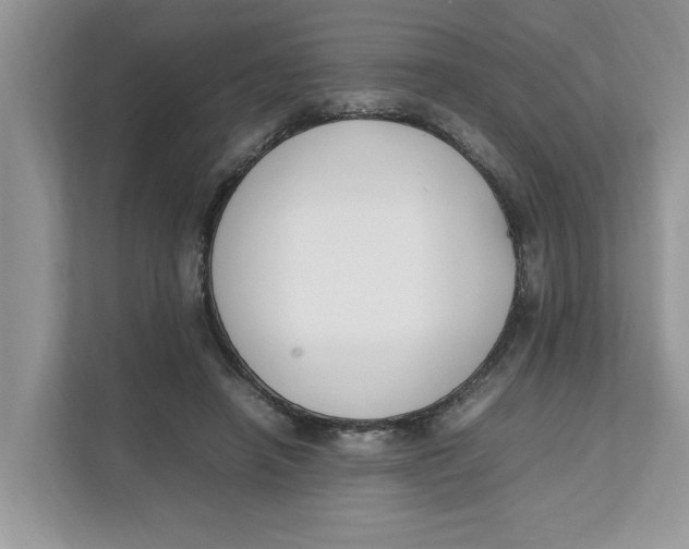 X0000111850450200908131442