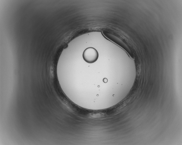 X0000111850452200908131442