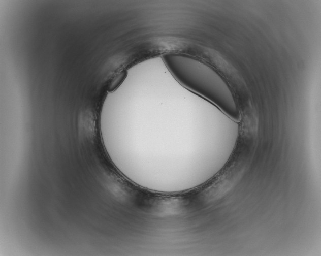 X0000111850456200908131442