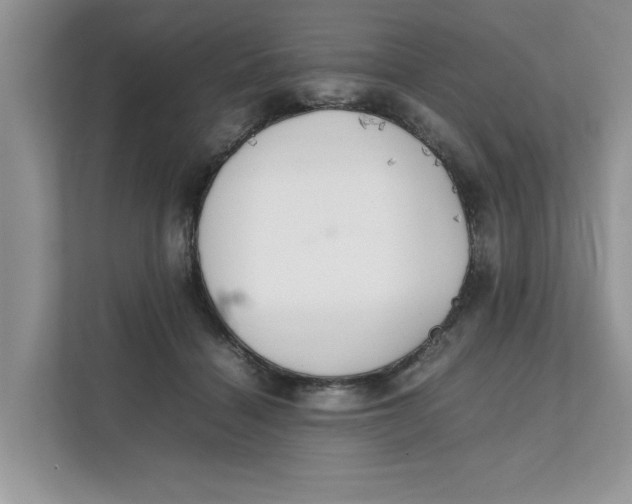 X0000111850460200908131442