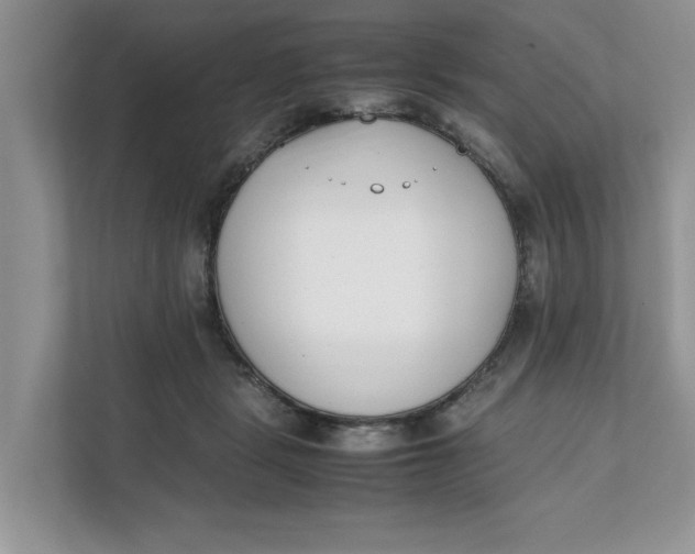 X0000111850461200908131442