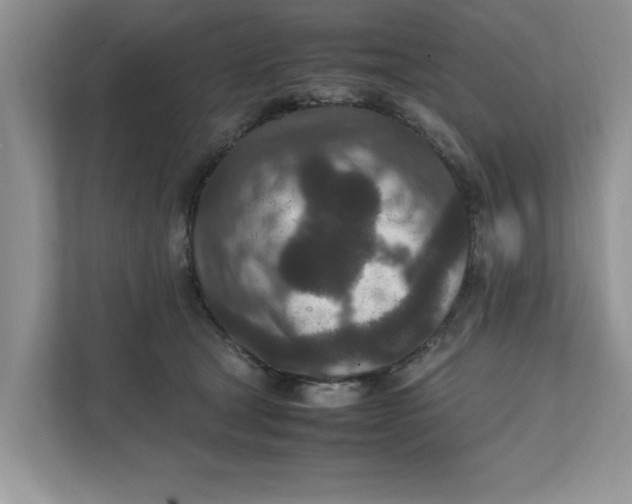 X0000111850465200908131442