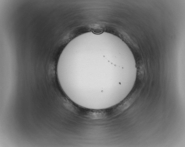 X0000111850466200908131442