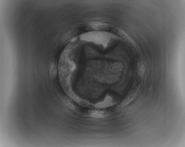 X0000111850471200908131442