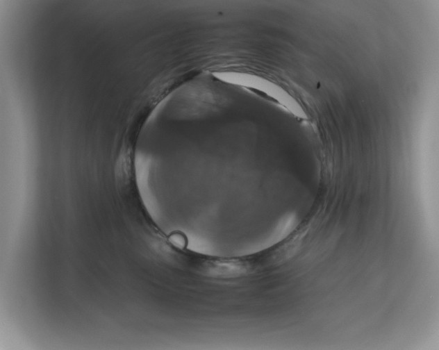 X0000111850475200908131442