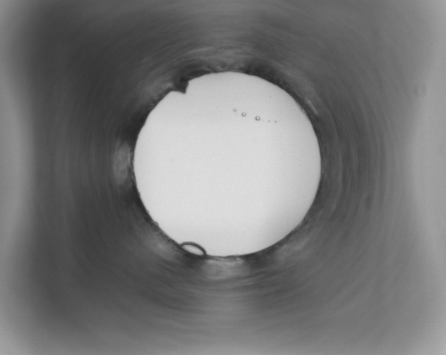 X0000111850480200908131442