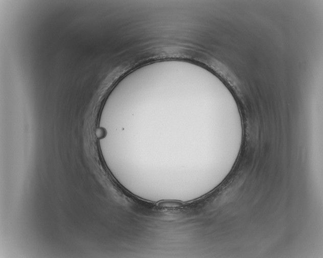 X0000111850481200908131442