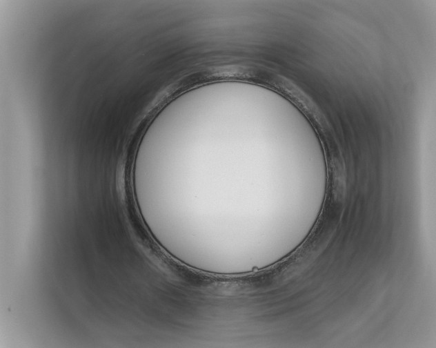 X0000111850482200908131442