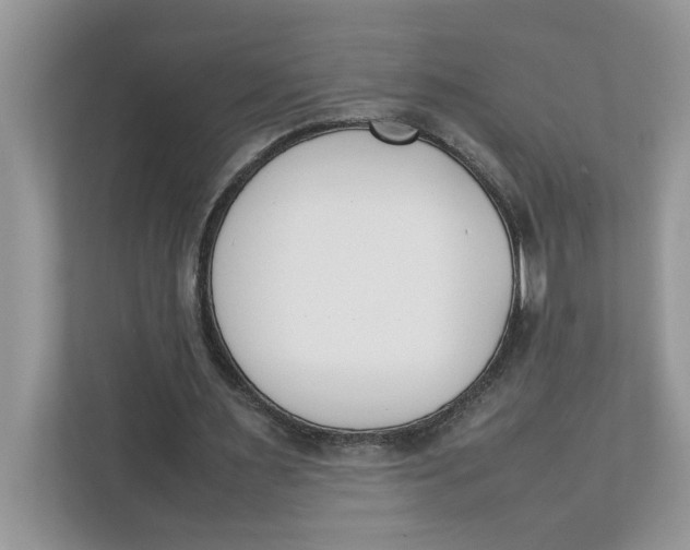 X0000111850483200908131442